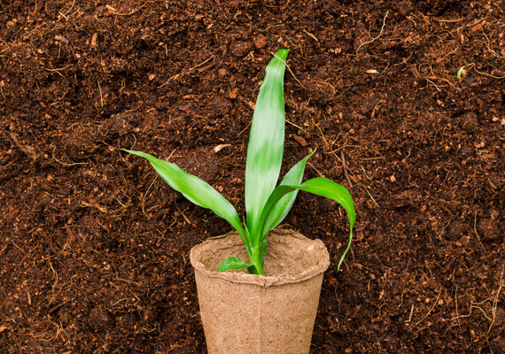 cocoking-about-commitment images