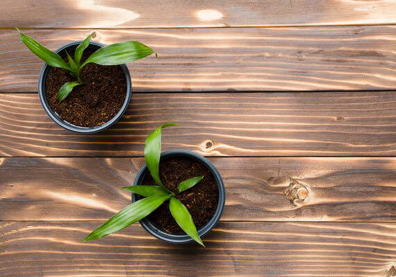 cocoking-about-vision images