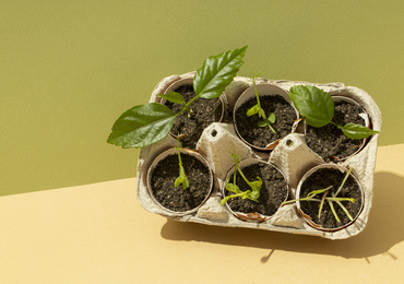 cocoking-why-cocopeat-biodegradable img