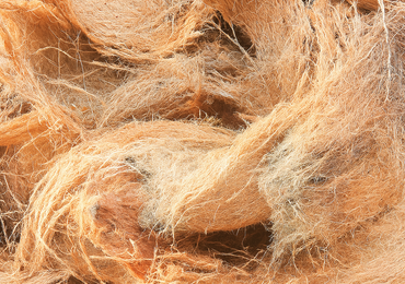 cocoking-why-cocopeat-low-carbon-footprint img