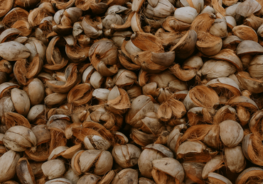 cocoking-why-cocopeat-sustainable img